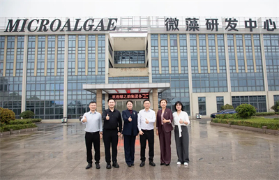 图片7.png 图片7.png